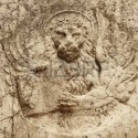 Aslan Define &Idot;&scedil;areti