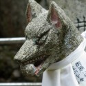 K&ouml;pek &Idot;&scedil;areti Resimleri